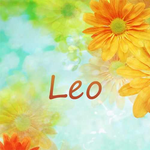 Pictures with name Leo.