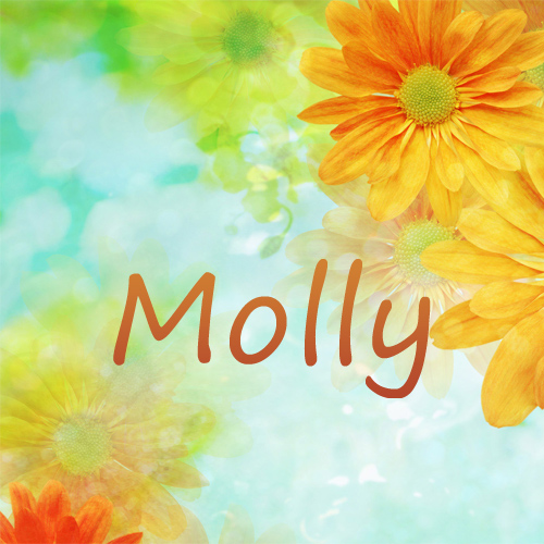 Pictures with name Molly