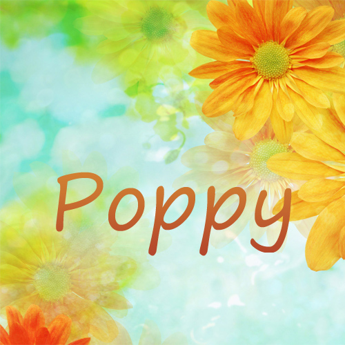 Pictures with name Poppy.