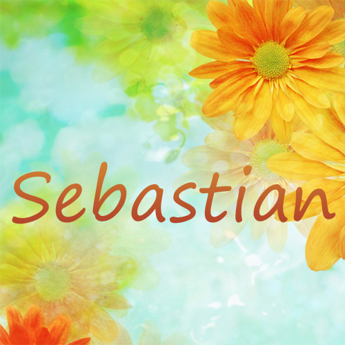 Pictures with name Sebastian.