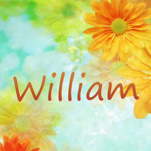 Pictures with name William.