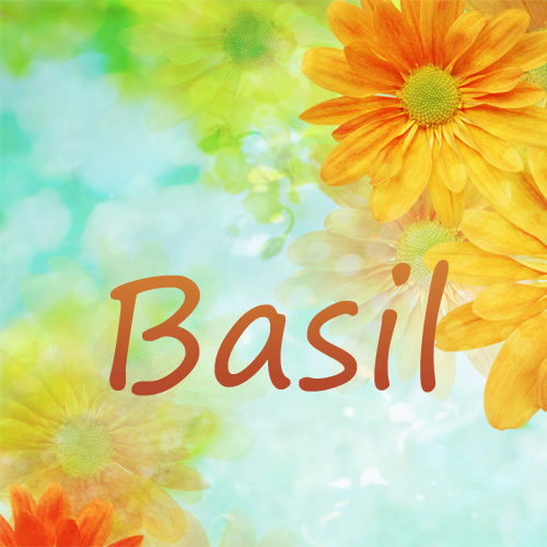 Pictures with name Basil.