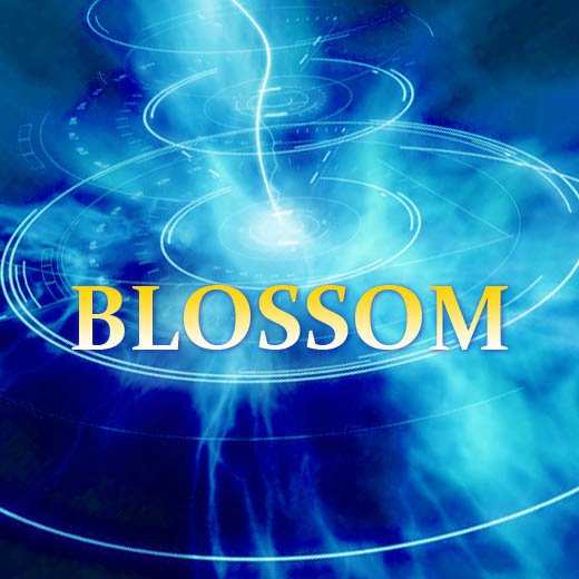 Pictures With Name Blossom 