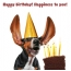 Picture: Happy birthday! Happiness to you! Happy birthday! Happiness to you!