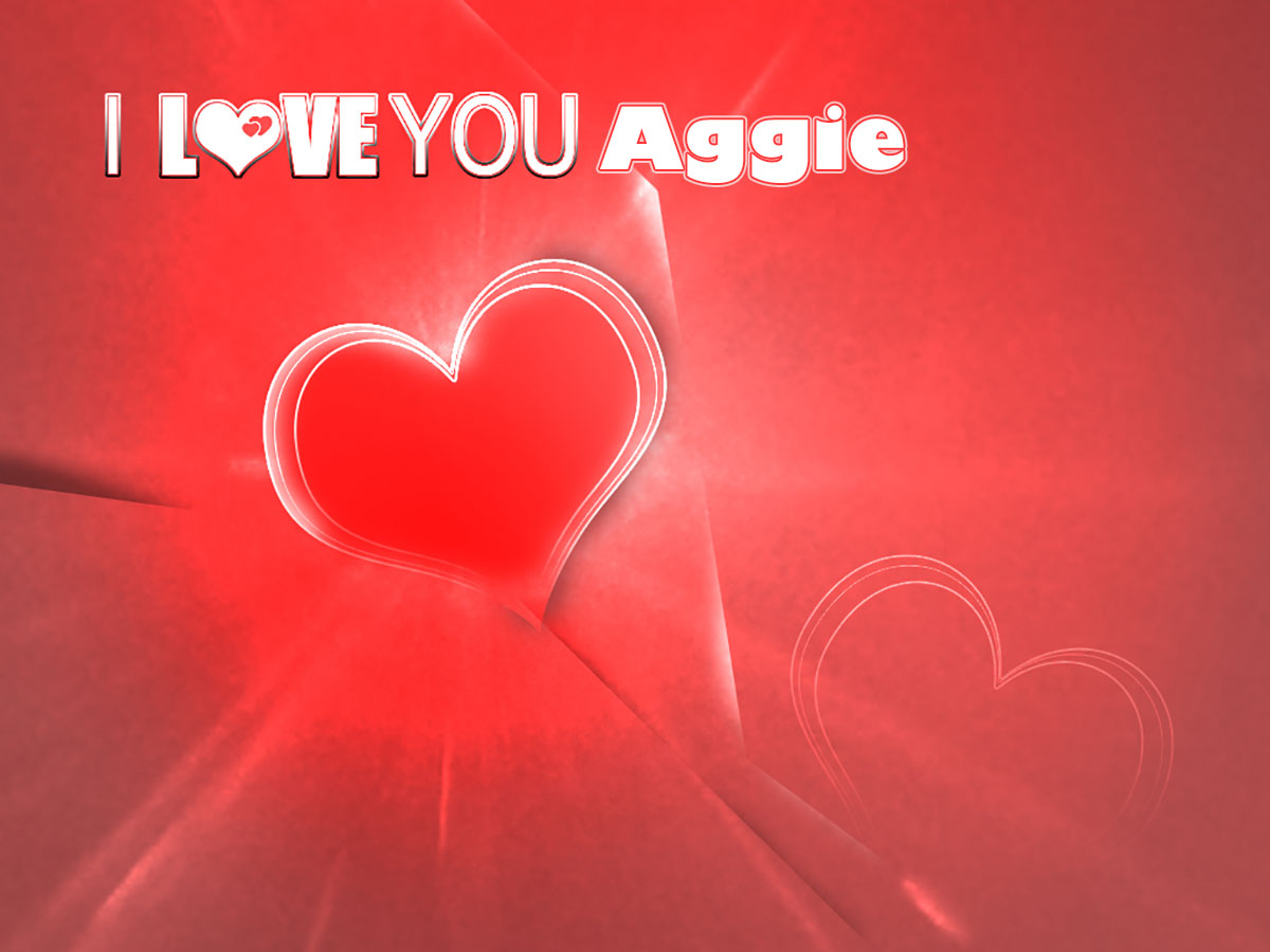 I Love You Aggie!